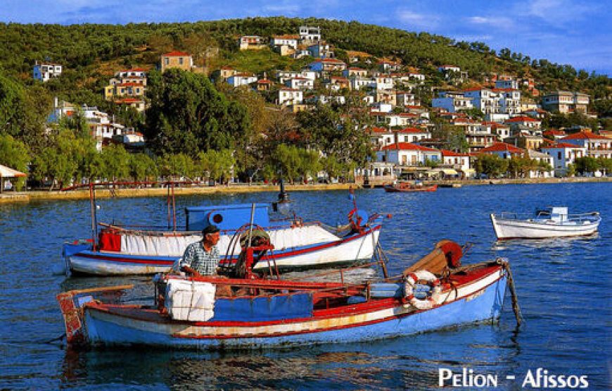 Volos – Pelion – Meteora – Delphi – Athens Tour