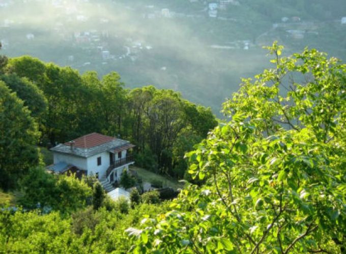 από Βόλο για Ανήλιο