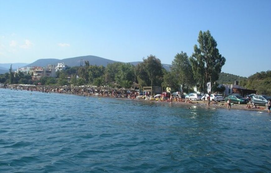 Volos – swimming – Athens Tour