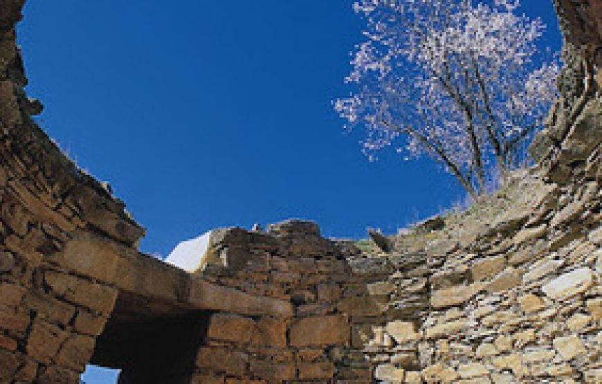 Archaeological Tour of Volos